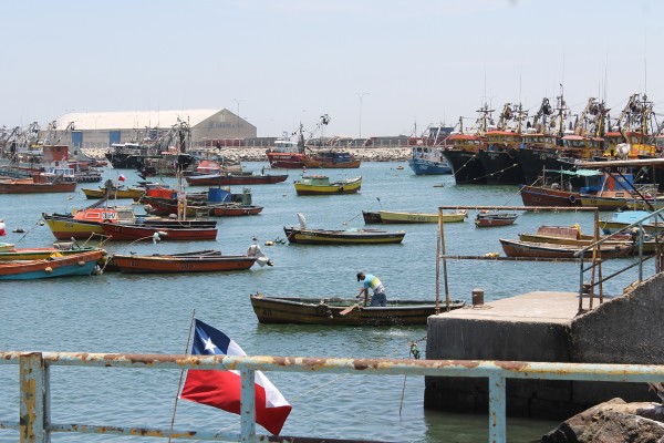 Conapach saluda a los pescadores artesanales en las festividades de San Pedro