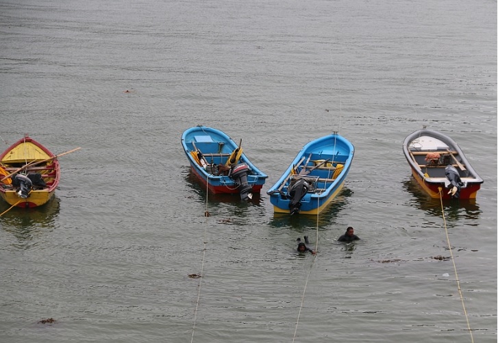 Pescadores piden más medidas para erradicar la llamada “guerra del loco” 