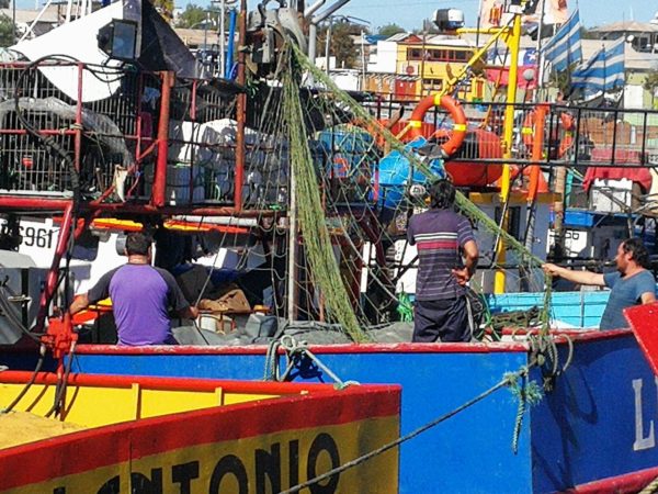 Pescadores artesanales de Caldera dicen vivir en una caleta sin ley 