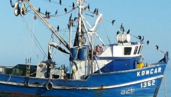 Milagrosa salvada de pescadores artesanales tras hundimiento de embarcación en las costas de Caldera