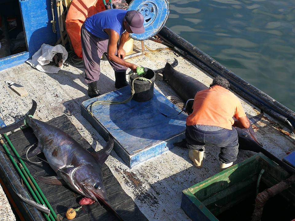 Organizaciones de Caldera convocan a pescadores artesanales de la macrozona norte y autoridades para abordar pesquerías albacora y bacalao 