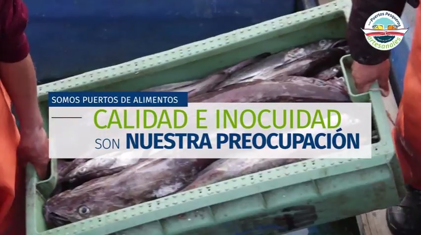 Región de Los Lagos:   Con programas de mejoramiento administrativo y generación de negocios turísticos parte segundo año de Nodo CORFO para la pesca artesanal