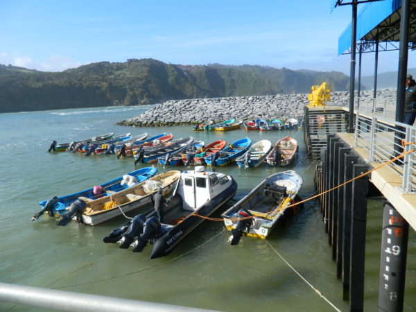 Caleta Estaquilla se incorpora al Nodo de Fortalecimiento de la Competitividad de Puertos Pesqueros Artesanales