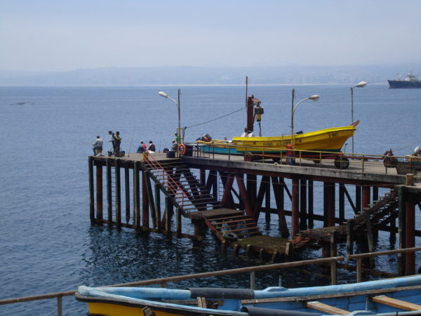 Cesantes permanecen pescadores artesanales de caleta El Membrillo por arreglos en el muelle