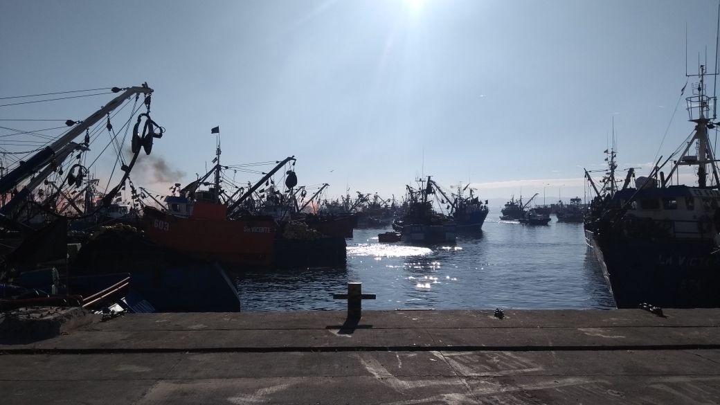 Armadores artesanales pelágicos acusan al Subsecretario de Pesca de no respetar veda de la sardina común y anchoveta