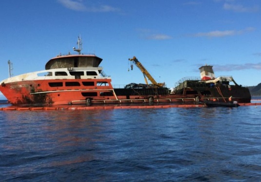 En alerta permanecen pescadores del Biobio por inminente llegada de wellboat con salmones en descomposición
