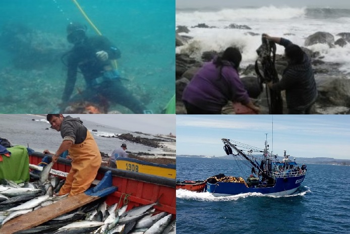Pescadores artesanales adhieren al descontento social en Chile