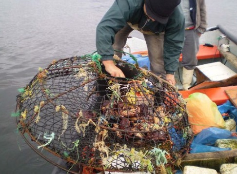 Pescadores rechazan la suspensión en la inscripción a los registros Jaiba Marmola