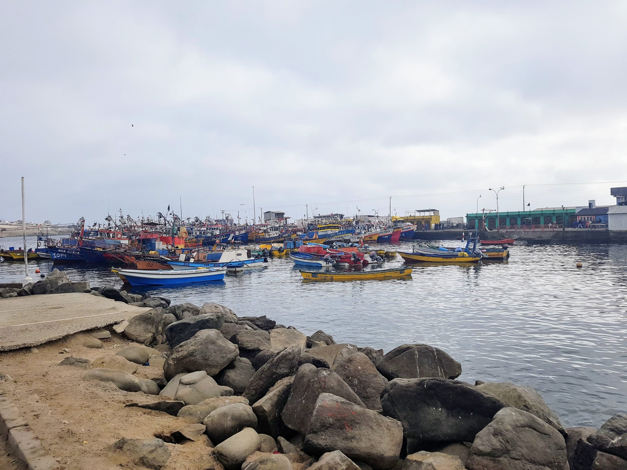 Región de Atacama: Ante el cierre de la caleta de Caldera pescadores llaman a la coordinación de las autoridades regionales a nivel nacional