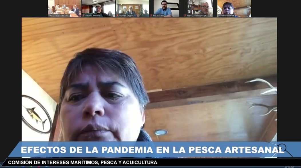 Conapach participa en segunda sesión de Comisión de Pesca del Senado para enfrentar Covid-19