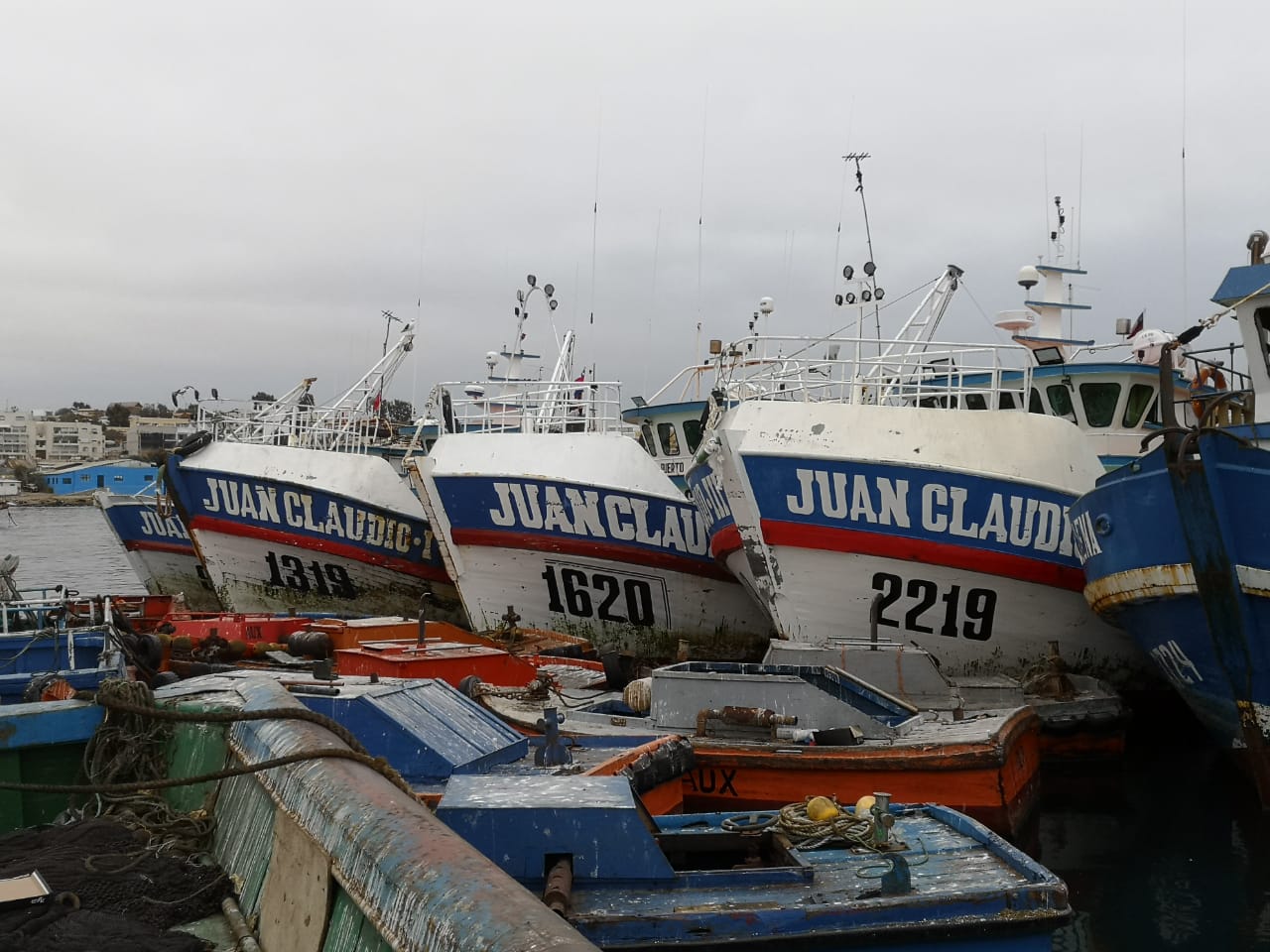 Pescadores de la macrozona norte denuncian Cartel de la flota Albacorera de la zona centro-sur