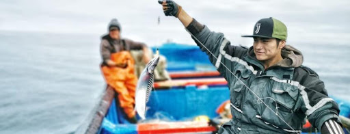 Pescadores valoran ley que les permite extraer remanentes del año 2020