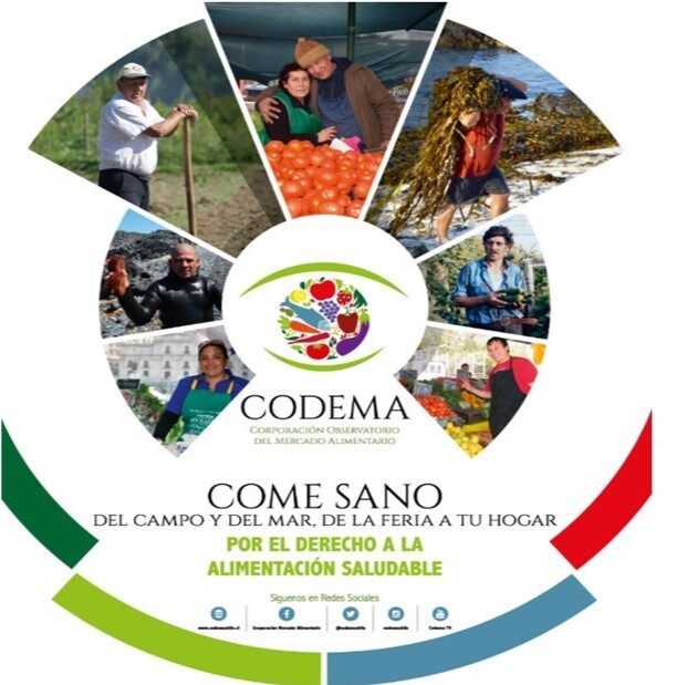 Nueva Constitución: CODEMA invita a reflexionar sobre el rol del canal agropesquero tradicional en el derecho a la alimentación