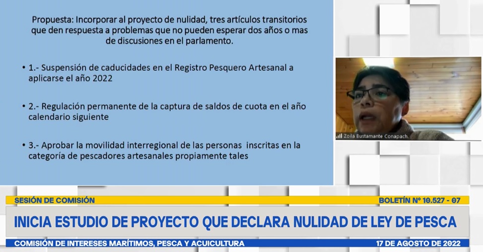 Conapach pide en Comisión de Pesca del Senado avanzar en las urgencias del sector artesanal