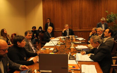 Zoila Bustamante llama la atención de senadores respecto a la crisis de la pesca artesanal