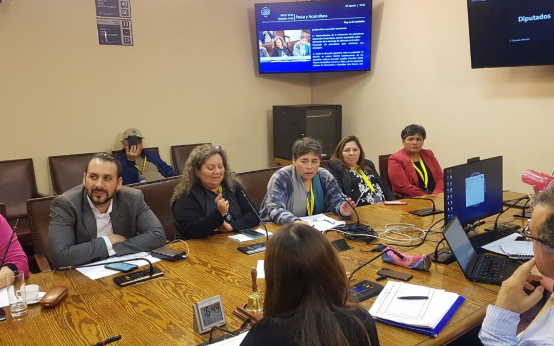 Pescadoras artesanales de la CONAPACH valora proyecto que aumenta plazo de caducidad por embarazo