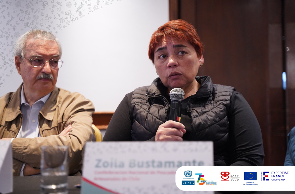 Presidenta de la CONAPACH participa de diálogo multisectorial sobre desafíos y oportunidades de biodiversidad en América Latina y el Caribe realizado en la CEPAL