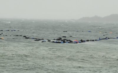 Región de Los Lagos: Mitilicultores de pequeña escala reclaman ayuda del gobierno ante grave crisis causada por temporales
