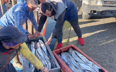 CONAPACH ANALIZA LA IMPLEMENTACIÓN DE 7 MEDIDAS ANUNCIADAS POR LA LEY DE FRACCIONAMIENTO